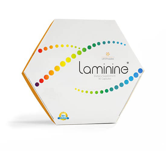 laminine