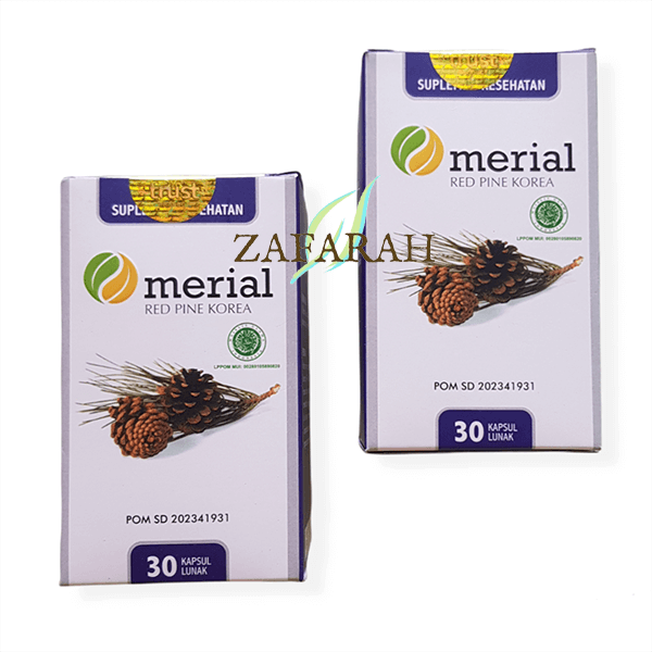 merial pinus merah korea